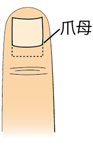陥入爪_01